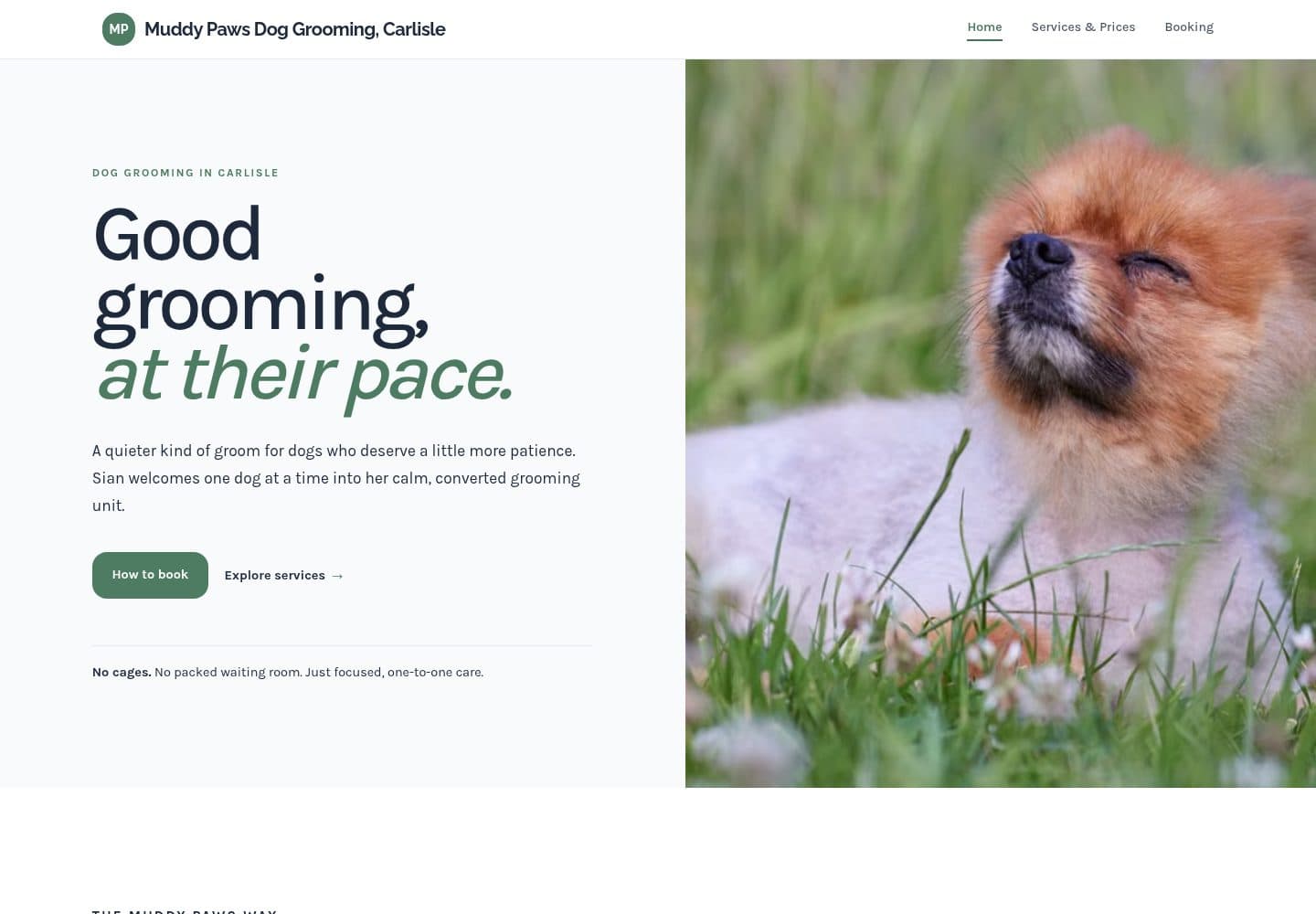 Muddy Paws Dog Grooming, a real website generated with BotPool Create (Forest teal)